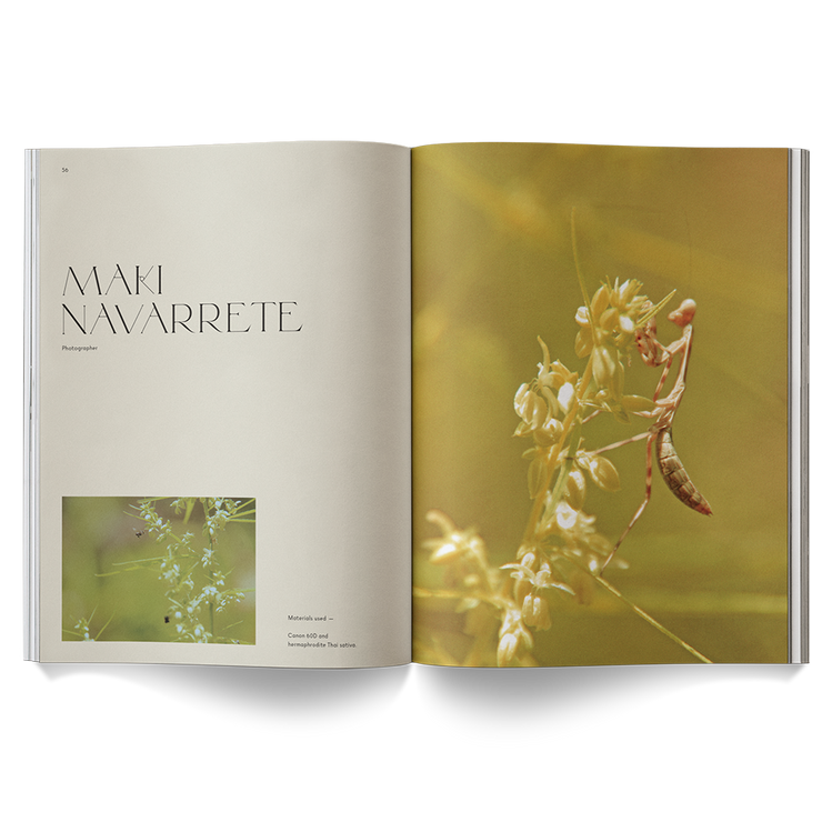 A Weed is a Flower Book