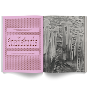 Mushroom People: A Magazine for Mycophiles