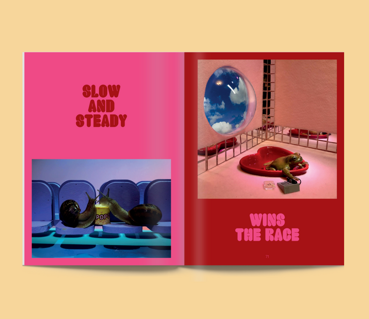 Snail World: Life in the Slimelight Book